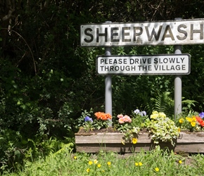 Welcome to Sheepwash