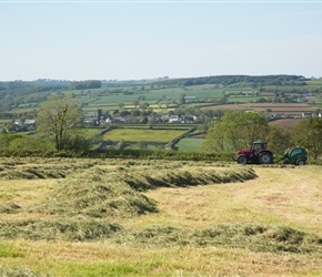Silage making in Devon Countryside