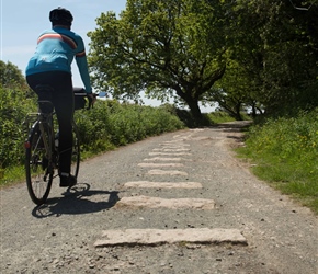 Tramway stones still in place on the cyclepath on Roborough Down