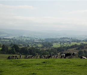 Looking west to the Pennines, a little further along again. Dairy Dairy illuminate the view. This was taken fromthe rollercoaster road after you have climbed out of Appleby