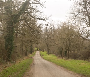 Pretty tree lined lane leads you towards Great Chalfield