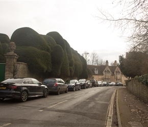 Topiary from Corsham Court overhang the road as you enter the older part of Corsham